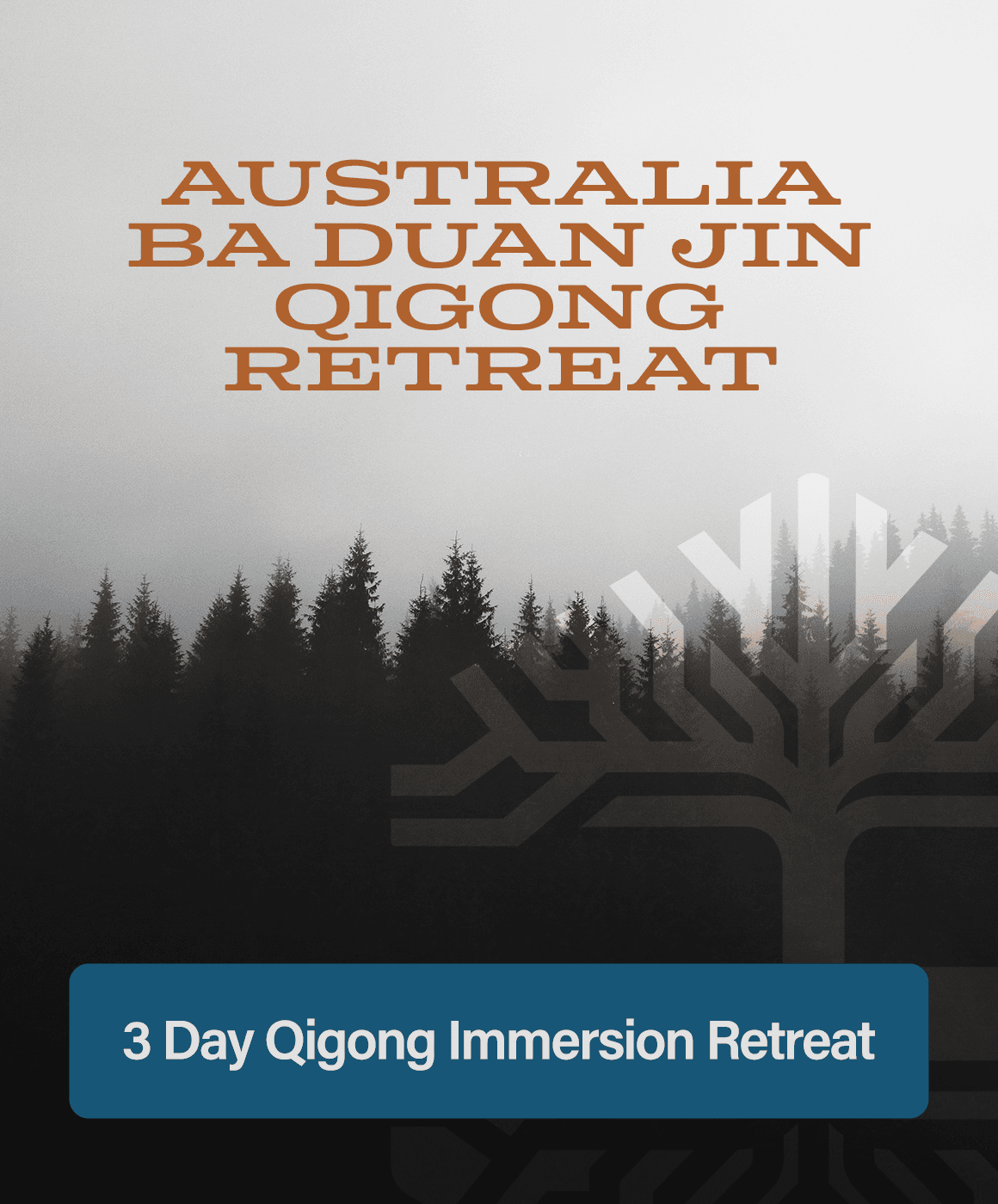 Australia Ba Duan Jin Qigong Retreat session